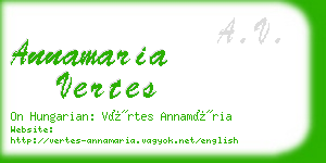 annamaria vertes business card